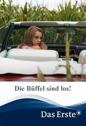 Die Büffel sind los!'s poster