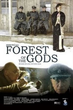 Dievu miskas's poster