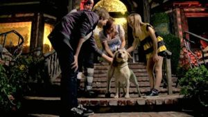 The Dog Who Saved Halloween's poster