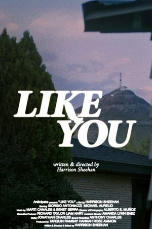 Like You's poster