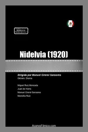 Nidelvia's poster