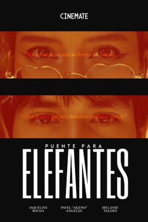 Puente Para Elefantes's poster