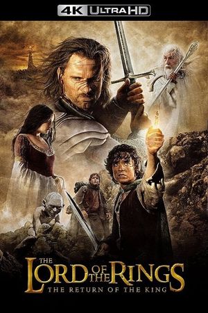 The Lord of the Rings: The Return of the King's poster