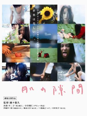 A Gap in the Skin's poster