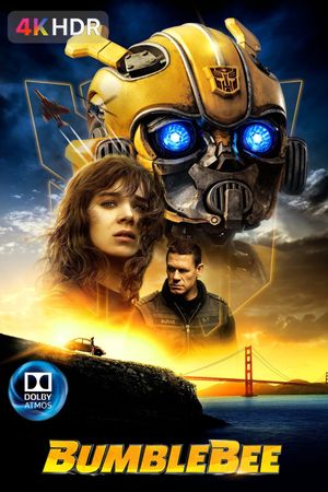 Bumblebee's poster