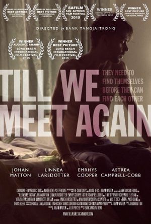 Till We Meet Again's poster