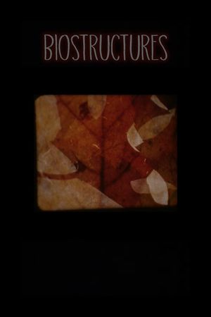 Biostructures's poster