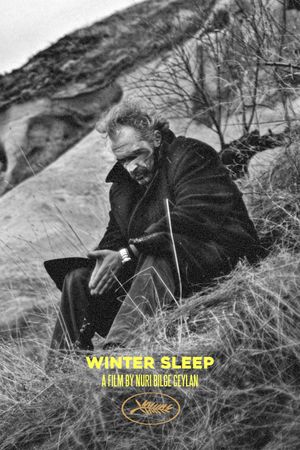 Winter Sleep's poster