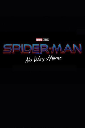 Spider-Man: No Way Home's poster