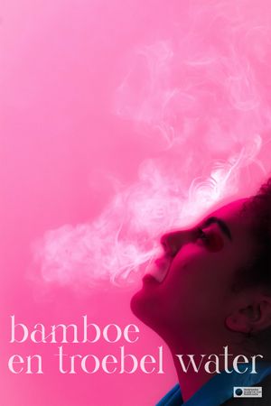 bamboo and cloudy water's poster