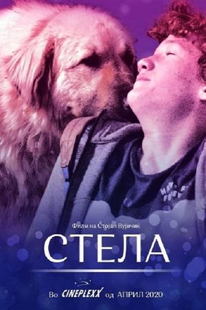 Stela's poster
