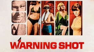 Warning Shot's poster