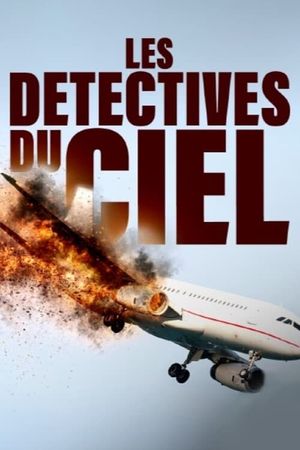Sky Detectives's poster