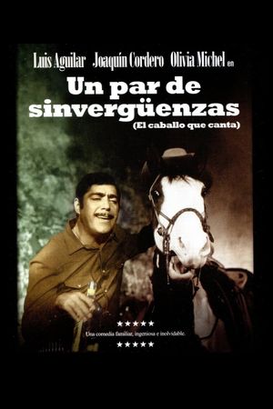 Un par de sinvergüenzas's poster