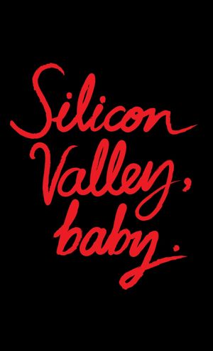 Silicon Valley, Baby.'s poster