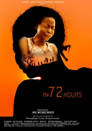 In 72 hours's poster image