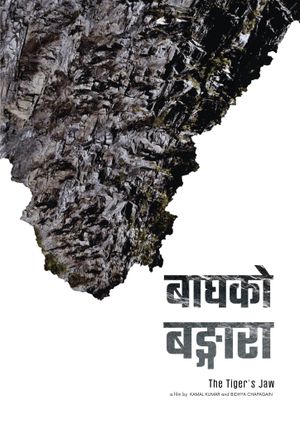 Bagh Ko Bangara's poster