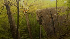 Moonrise Kingdom's poster
