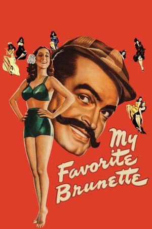 My Favorite Brunette's poster