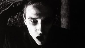 Strasek, der Vampir's poster