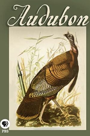 Audubon's poster image