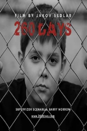 260 Days's poster