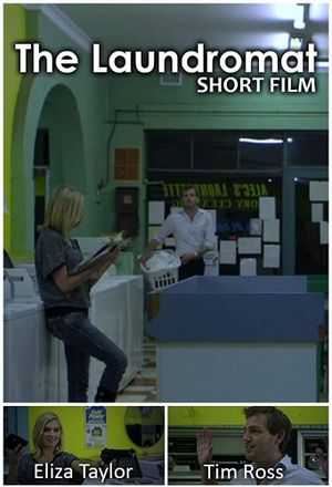 The Laundromat's poster