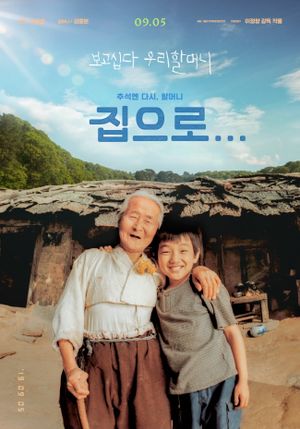The Way Home's poster