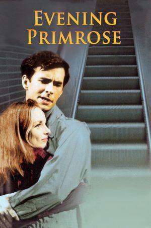 Evening Primrose's poster image