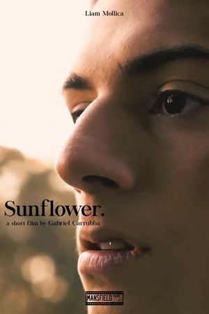 Sunflower's poster