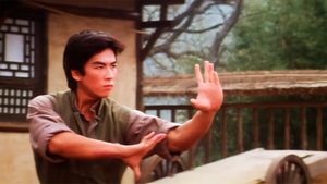Drunken Tai Chi's poster
