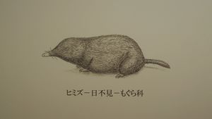Himizu's poster