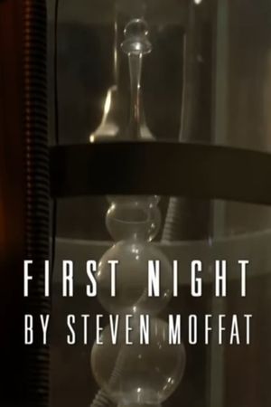 Doctor Who: Night and the Doctor: First Night's poster