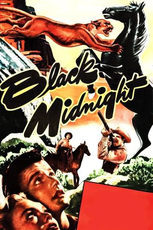 Black Midnight's poster