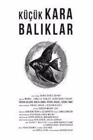 Little Black Fishes's poster
