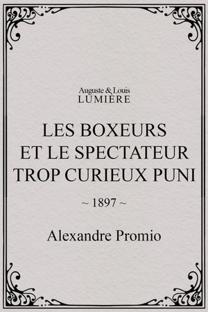 Les boxeurs et le spectateur trop curieux puni's poster