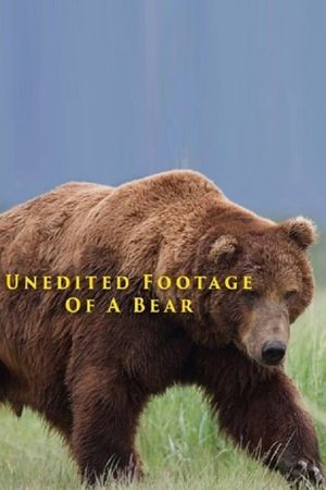 Unedited Footage of a Bear's poster