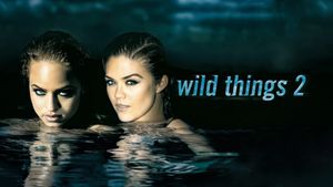 Wild Things 2's poster