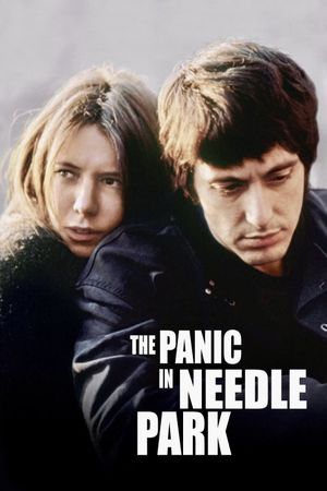 The Panic in Needle Park's poster