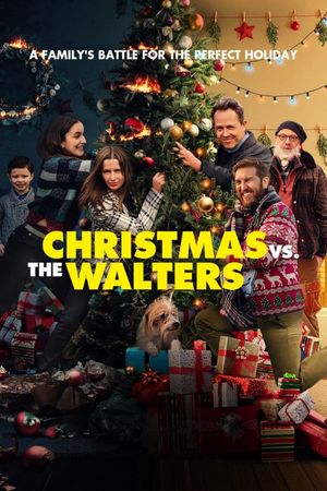 Christmas vs. The Walters's poster