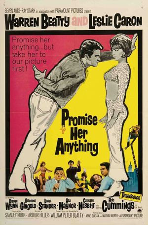 Promise Her Anything's poster image