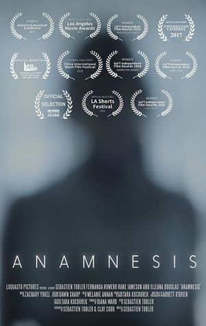 Anamnesis's poster