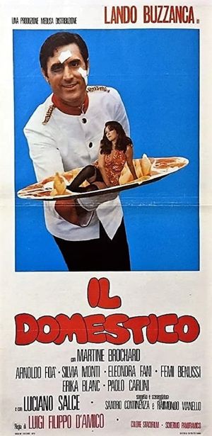 My Darling Domestic's poster