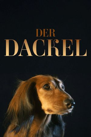 Der Dackel's poster