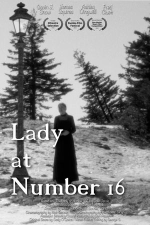 Lady at Number 16's poster