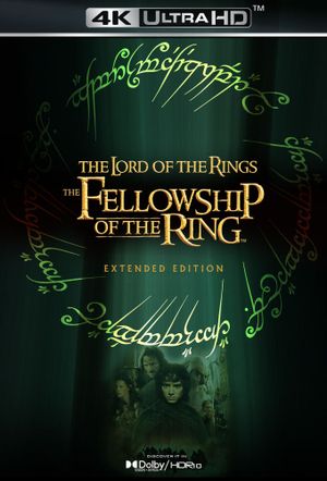 The Lord of the Rings: The Fellowship of the Ring's poster