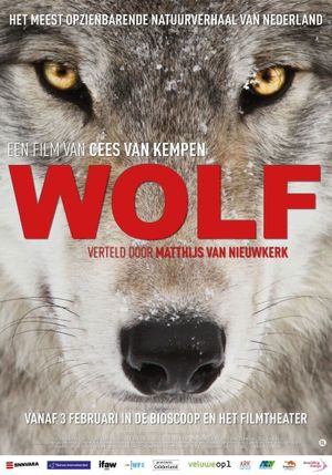 Wolf's poster