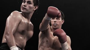 The Fighter's poster