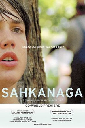 Sahkanaga's poster