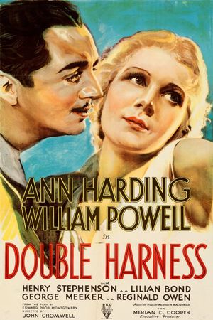 Double Harness's poster